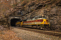 Click Here to see the photo!