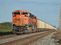 Click Here to see the photo!