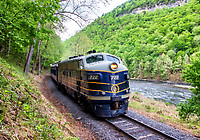 Click Here to see the photo!