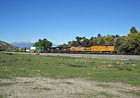 Click Here to see the photo!