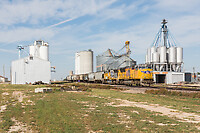 Click Here to see the photo!