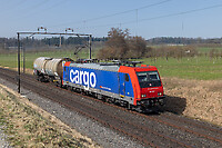 Click Here to see the photo!