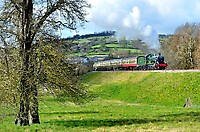 Click Here to see the photo!