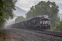 Click Here to see the photo!