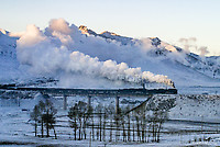 Click Here to see the photo!