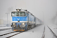 Click Here to see the photo!