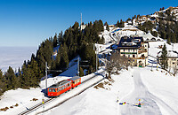 Click Here to see the photo!