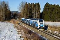 Click Here to see the photo!