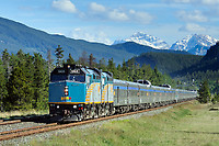 Click Here to see the photo!