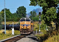 Click Here to see the photo!