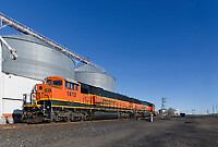 Click Here to see the photo!