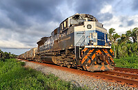 Click Here to see the photo!