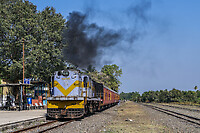 Click Here to see the photo!