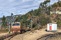 Click Here to see the photo!