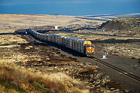 Click Here to see the photo!