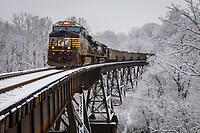 Click Here to see the photo!