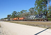 Click Here to see the photo!