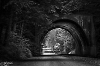 Click Here to see the photo!