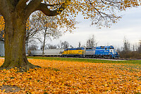 Click Here to see the photo!