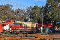 Click Here to see the photo!