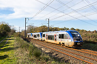 Click Here to see the photo!