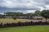 Click Here to see the photo!