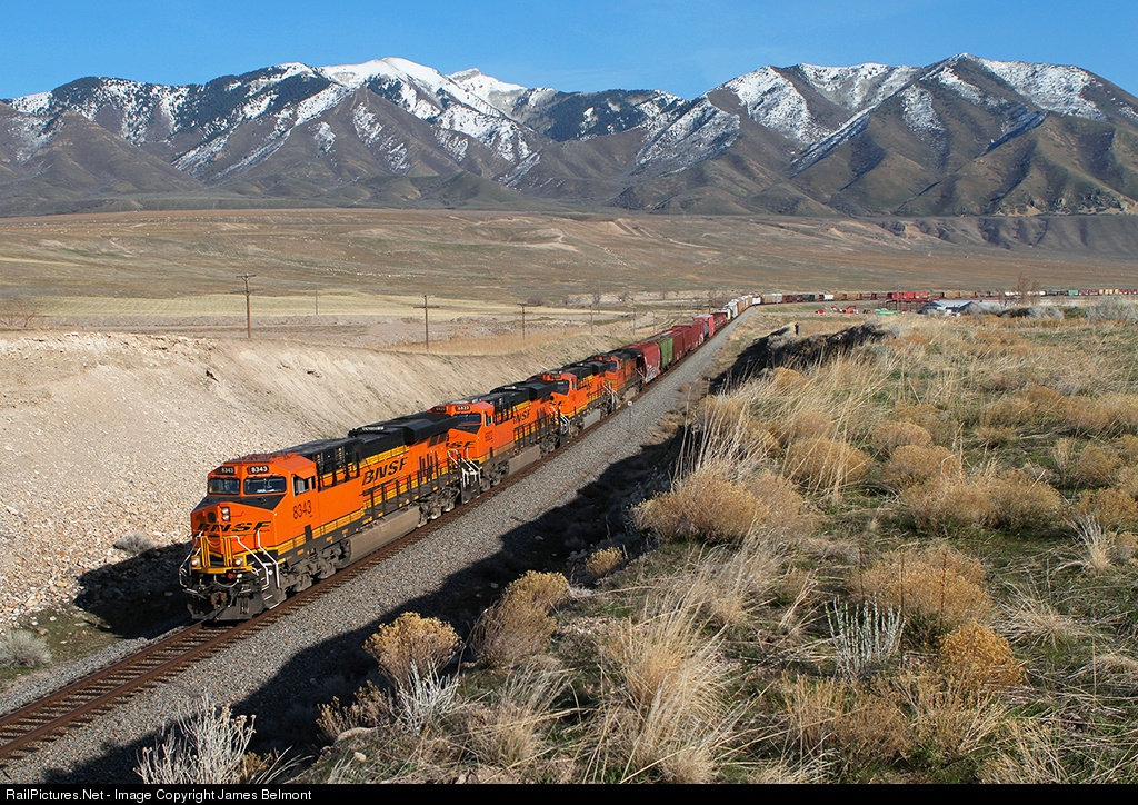 Escorts Grand Junction