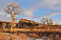 Click Here to see the photo!