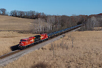 Click Here to see the photo!