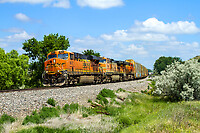 Click Here to see the photo!