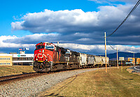 Click Here to see the photo!