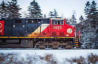 Click Here to see the photo!