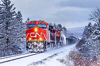 Click Here to see the photo!