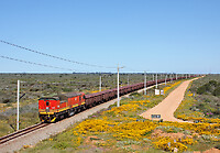 Click Here to see the photo!