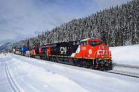 Click Here to see the photo!