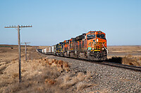 Click Here to see the photo!