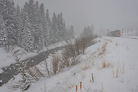 Click Here to see the photo!