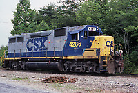 Click Here to see the photo!