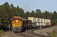 Click Here to see the photo!