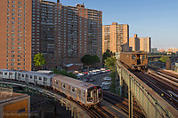 Click Here to see the photo!