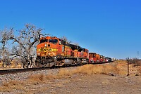 Click Here to see the photo!