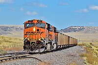 Click Here to see the photo!