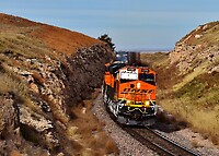 Click Here to see the photo!