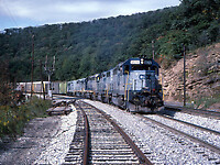 Click Here to see the photo!