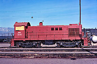 Click Here to see the photo!