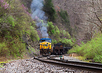 Click Here to see the photo!