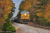 Click Here to see the photo!