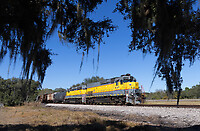 Click Here to see the photo!