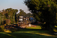 Click Here to see the photo!