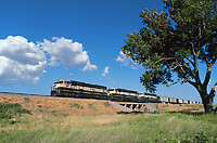 Click Here to see the photo!